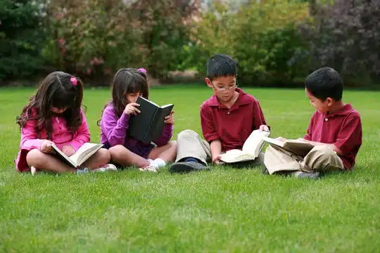 بناء المنهج التعليمي 